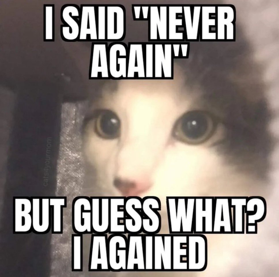 Tweet by LiterallyMeCats printed on a t-shirt