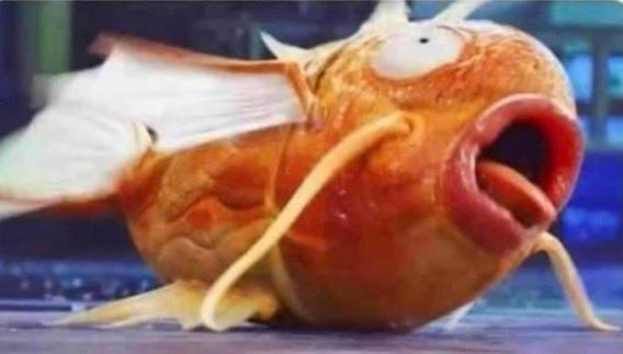 Ray Mond: Me choking on my own saliva for no reason in my room