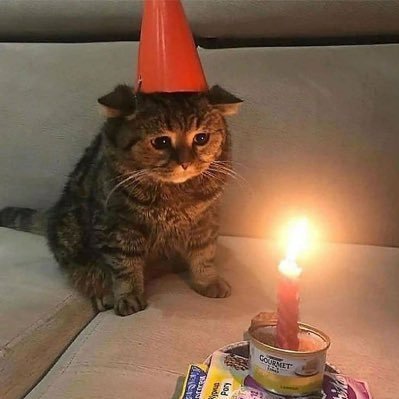 Tweets Of Cats